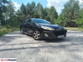 Peugeot 407 2005 1.7 114 KM Peugeot 407 2005 1.7 114 KM
