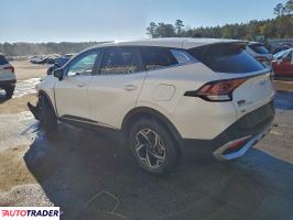 Kia Sportage 2024 2
