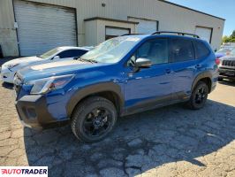 Subaru Forester - zobacz ofertę