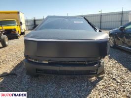 Tesla Pozostałe 2024