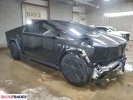 Tesla Pozostałe 2024