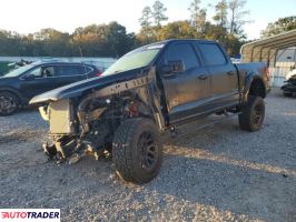 Ford Pozostałe 2024 5