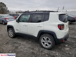 Jeep Renegade 2019 1