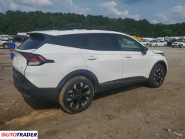 Kia Sportage 2024 2