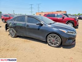 Kia Pozostałe 2024 1