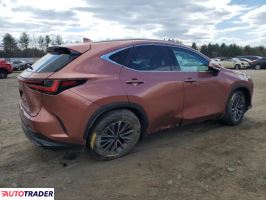 Lexus NX 2025 2 Lexus NX 2025 2
