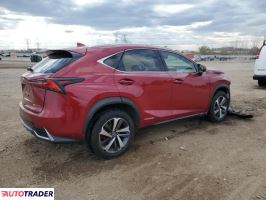 Lexus NX 2020 2