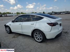 Tesla Model Y 2020