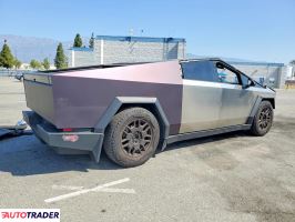 Tesla Pozostałe 2024