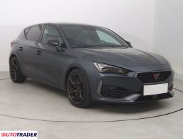 Cupra  - zobacz ofertę