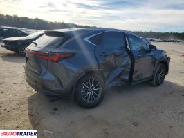 Lexus NX 2024 2