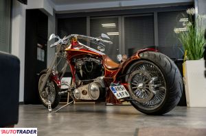 Harley-Davidson Custom 2013