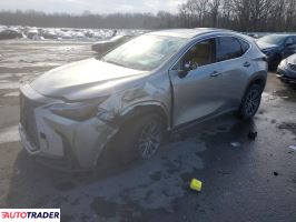 Lexus NX 2024 2