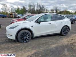 Tesla Model Y 2025