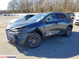 Lexus NX 2023 2