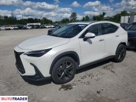 Lexus NX 2023 2