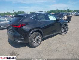 Lexus NX 2023 2