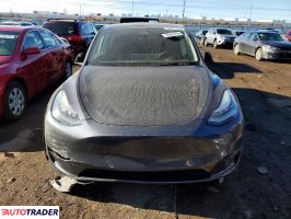 Tesla Model Y 2020