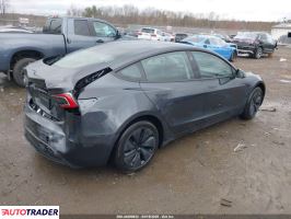 Tesla Model 3 2025