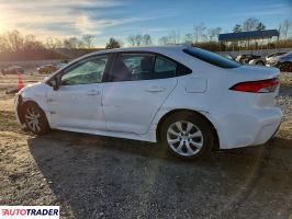 Toyota Corolla 2020 1