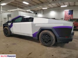 Tesla Pozostałe 2024