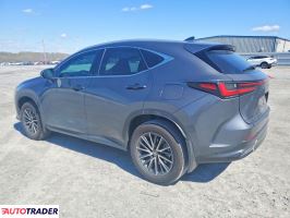 Lexus NX 2025 2