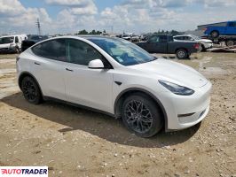 Tesla Model Y 2021 Tesla Model Y 2021