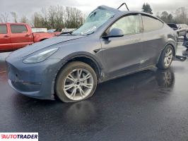 Tesla Model Y - zobacz ofertę