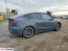 Tesla Model Y 2025