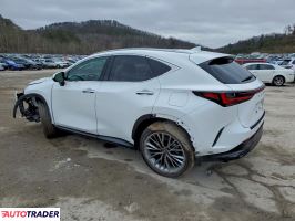 Lexus NX 2026 2