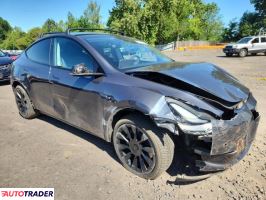 Tesla Model Y 2020