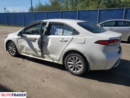 Toyota Corolla 2020 1