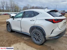 Lexus NX 2025 2