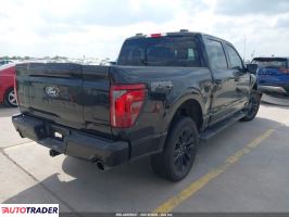 Ford Pozostałe 2024 3