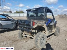 Polaris Pozostałe 2020