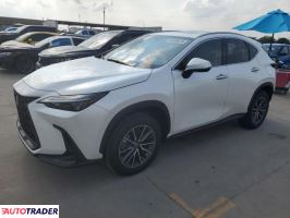 Lexus NX 2024 2