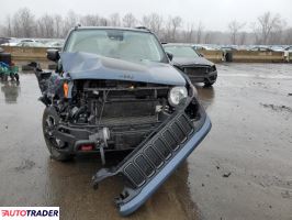 Jeep Renegade 2021 1