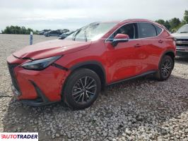 Lexus NX 2023 2