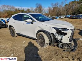 Lexus NX 2024 2