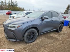 Lexus NX 2024 2