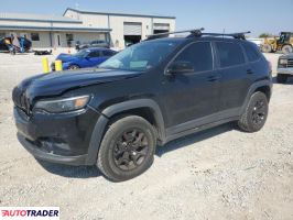 Jeep Cherokee 2022 3