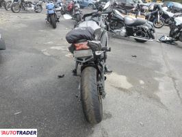 Kawasaki Pozostałe 2021 Kawasaki Pozostałe 2021