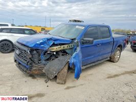 Ford Pozostałe 2024 3