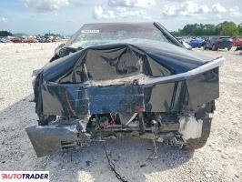 Tesla Pozostałe 2025