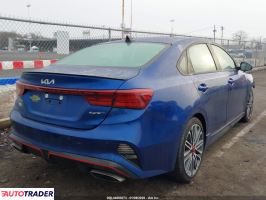 Kia Pozostałe 2024 1