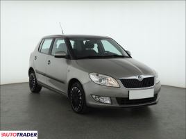 Skoda Fabia 2010 1.2 84 KM