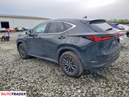 Lexus NX 2025 2