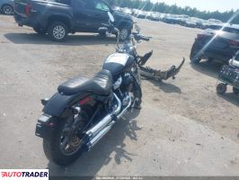 Harley-Davidson Pozostałe 2024