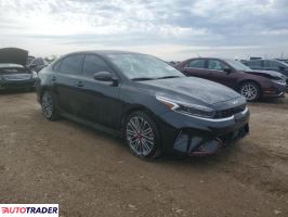 Kia Pozostałe 2024 1