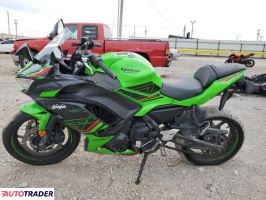 Kawasaki Pozostałe 2024 Kawasaki Pozostałe 2024